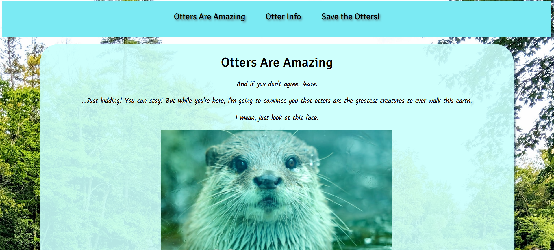 The homepage of Project One